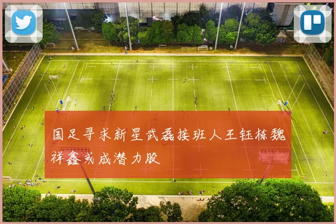 国足寻求新星武磊接班人王钰栋魏祥鑫或成潜力股